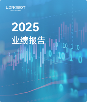 2025 Performance Report 